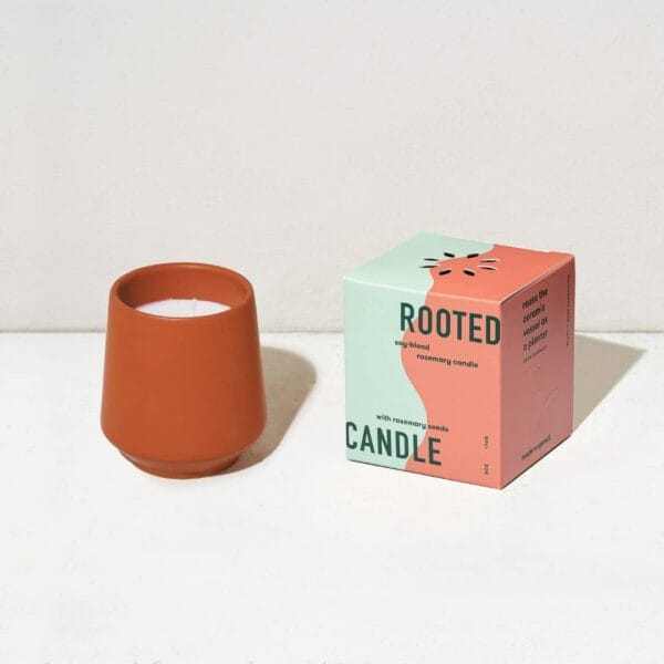 Modern Sprout Rooted Candle Grow Set, Indoor Herb Garden, Non-GMO - Image 4