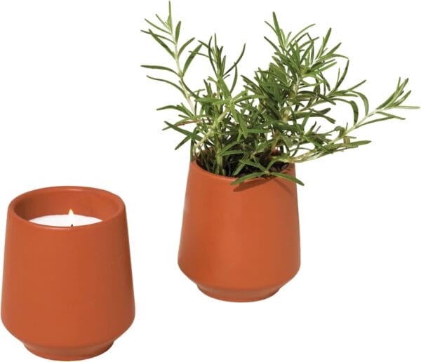 Modern Sprout Rooted Candle Grow Set, Indoor Herb Garden, Non-GMO - Image 2