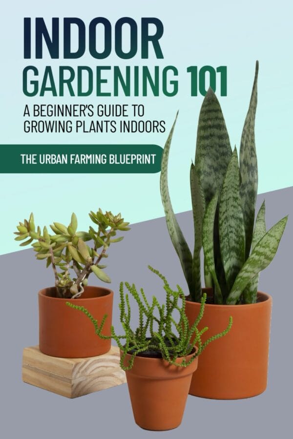 Exploring Houseplant Care and Indoor Gardening Guides - Image 2