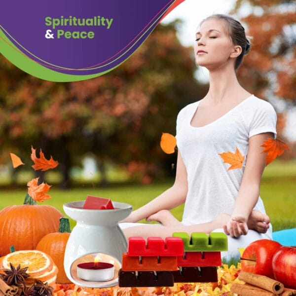 Exquizite Fall Wax Melts Scented Wax Melts Wax Cubes for Scented Fall Wax Warmer - 100% Soy Wax Melts - Pumpkin Spice, Apple Cinnamon, Orange Clove, Autumn Leaves, Eucalyptus and Coffee Cake - Candle Wax Melts - Image 2