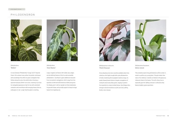 Comparative : Top 6 Books for Plant Enthusiasts' Collection - Image 2