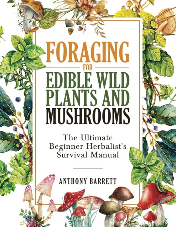 Exploring Six Guides: From Medicinal Plants to Monstera Care - Image 3