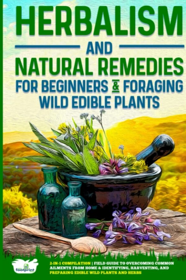 Exploring Houseplant Care and Indoor Gardening Guides - Image 4