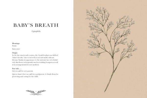Top Plant Books: A Comparison of Six Essential Titles - Image 3