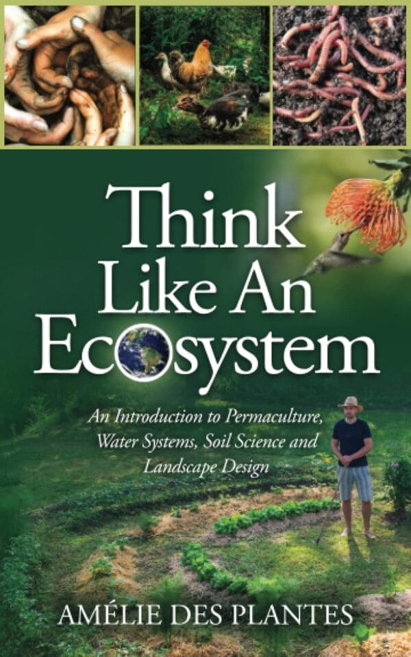 Exploring Six Guides: From Medicinal Plants to Monstera Care