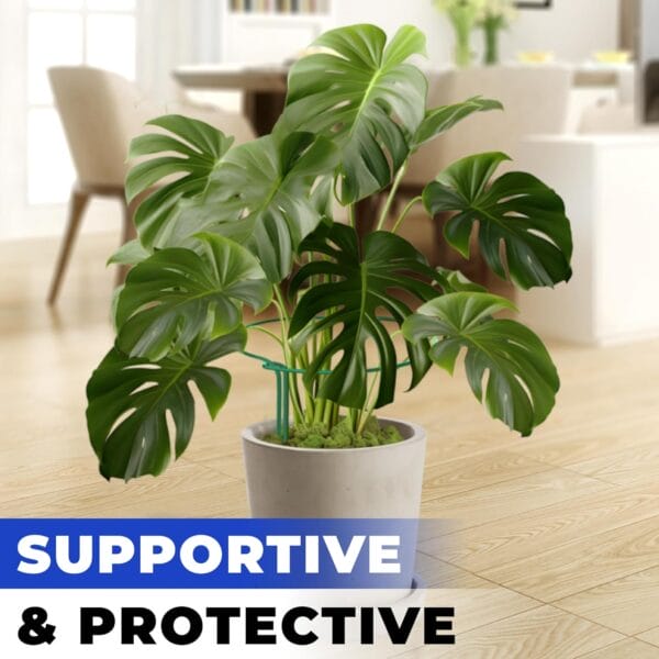 K-Brands 12 Pack Tall Snake Plant Support Stakes - 10" W x 24" H Half Round Peony Cages - Image 4