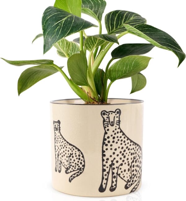 Two Panthers Indoor Ceramic Plant Pots with Drainage Holes - 5 Inch Cute Succulent Flower Pots - Image 3