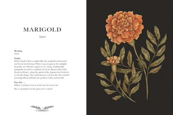 Top Plant Books: A Comparison of Six Essential Titles - Image 5