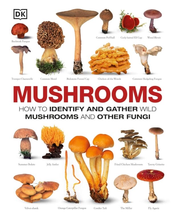 Exploring Nature's Wonders: The Best Guides on Plants and Fungi - Image 2