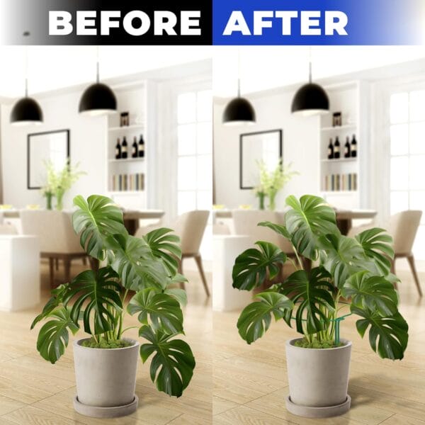 K-Brands 12 Pack Tall Snake Plant Support Stakes - 10" W x 24" H Half Round Peony Cages - Image 5
