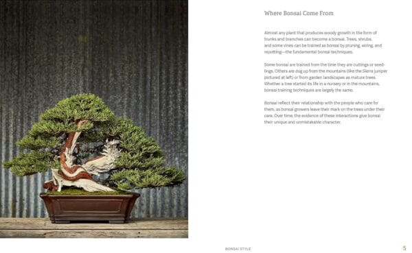 Comparing Essential Guides for Plant Lovers: A Comprehensive - Image 5