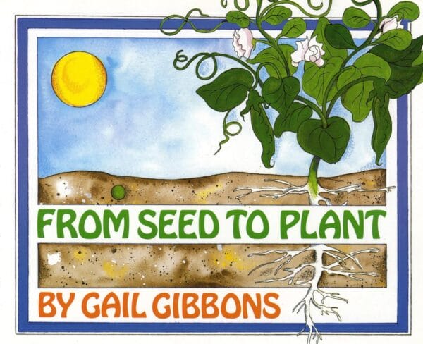 Exploring Six Plant Guides: From Soil Science to Creative Terrariums