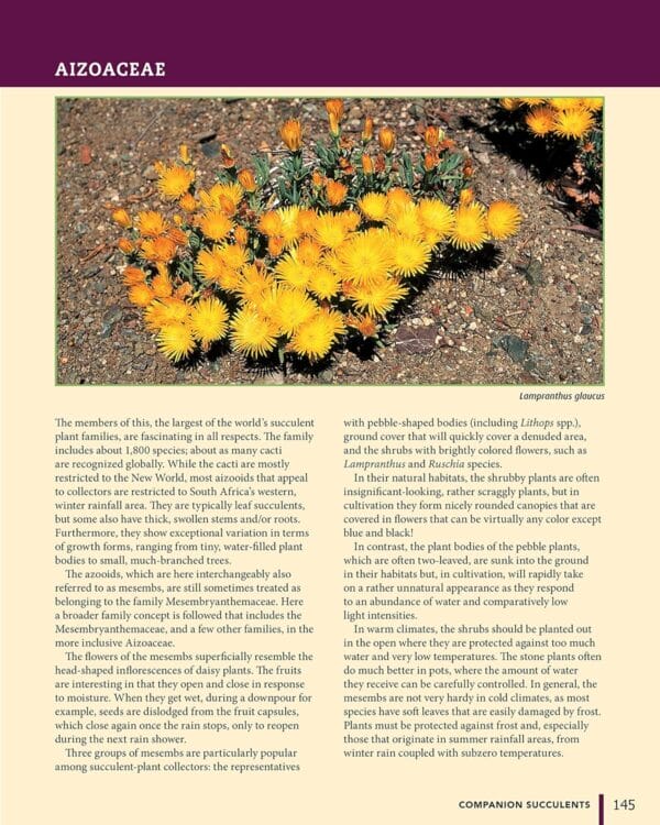 **Essential Gardening Books: A Comparative  of 6 Key Guides** - Image 5