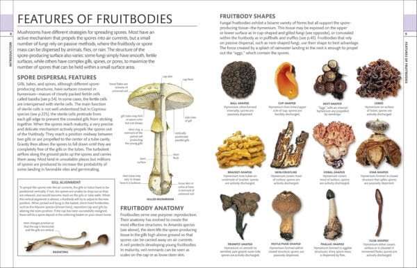 Exploring Nature's Wonders: The Best Guides on Plants and Fungi - Image 3