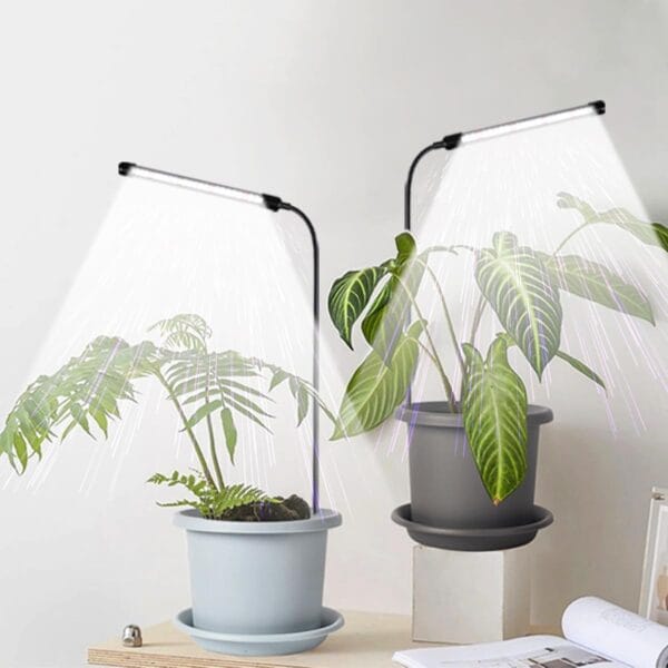 Comparing Essentials: Best Plant Accessories & Decor of 2023