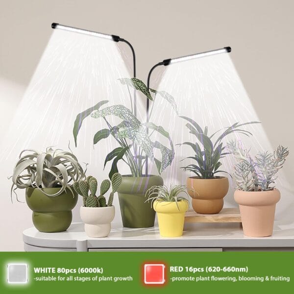 Comparing Essentials: Best Plant Accessories & Decor of 2023 - Image 5