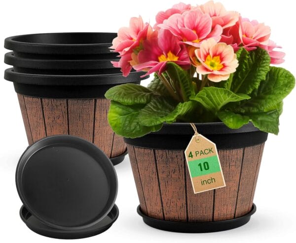 Exploring 8 Innovative Products for Plant Enthusiasts