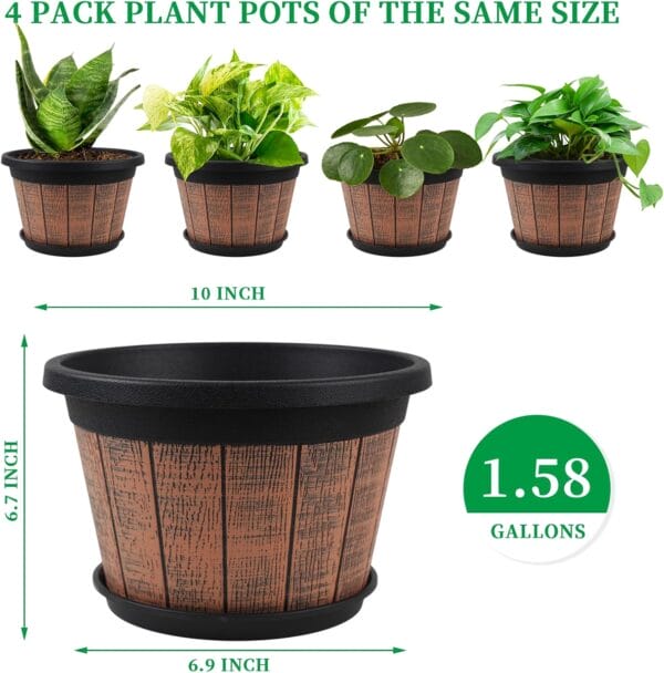 Exploring 8 Innovative Products for Plant Enthusiasts - Image 5