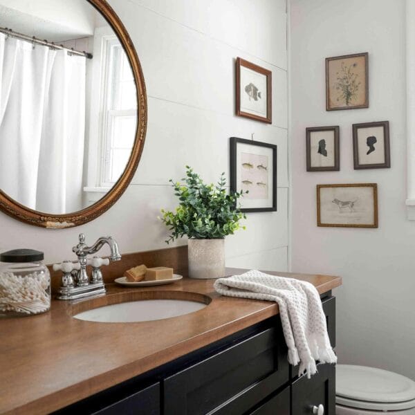 Comparing 8 Trendy Artificial Plants for Modern Home Décor - Image 4