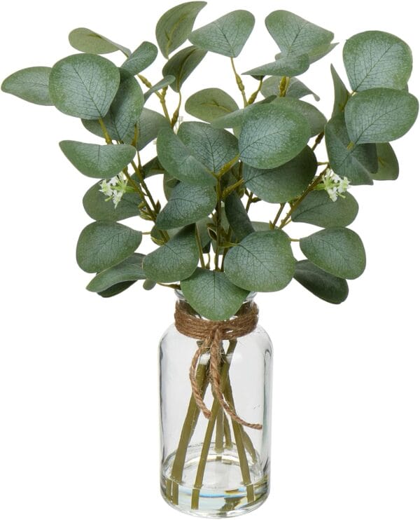 Comparing 8 Top Plant Decor Products for Your Home and Garden