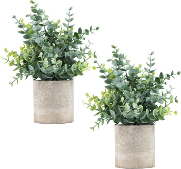 Comparing 8 Trendy Artificial Plants for Modern Home Décor