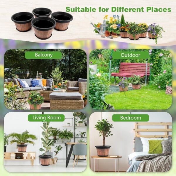Exploring 8 Innovative Products for Plant Enthusiasts - Image 4