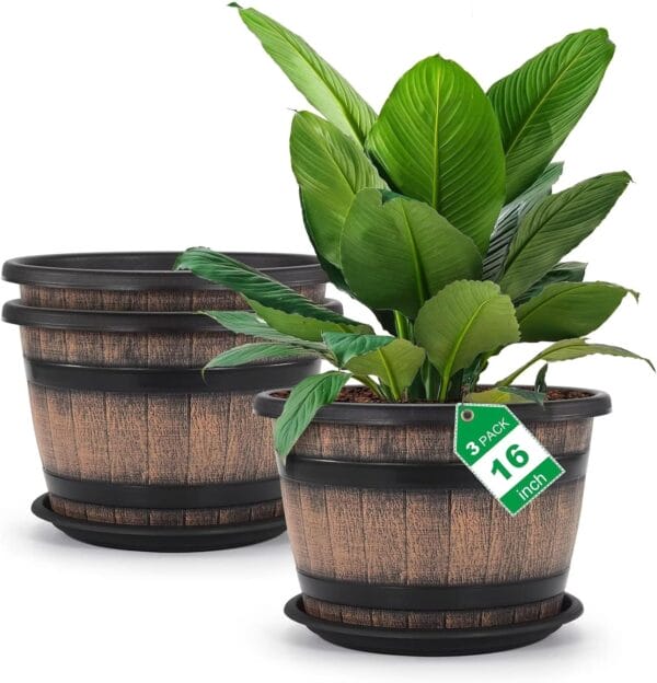 Title: "Comparing Top Plant Pots and Garden Accessories for 2023